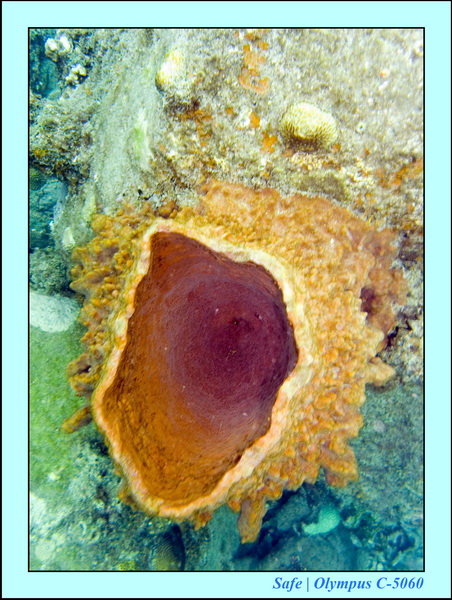 2008 - 07 - Perhentian - 022